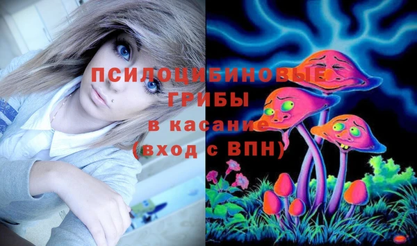 молекула духа Верхний Тагил